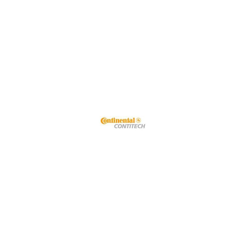 PAS KLINOWY 8X580/599 CONTITECH*