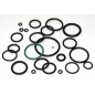 ORING 44/3,5