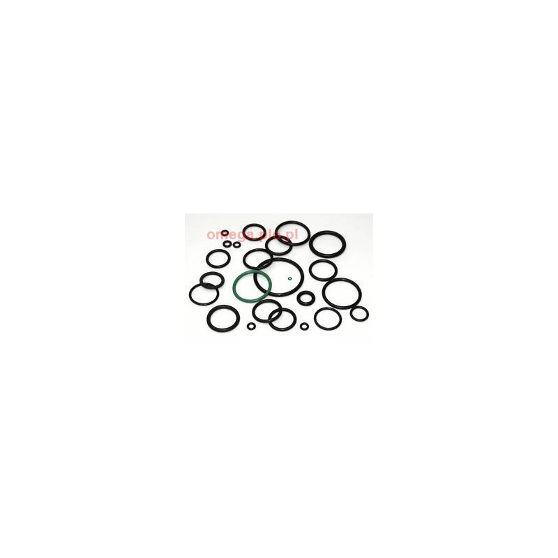 ORING 28/3 FLUOR
