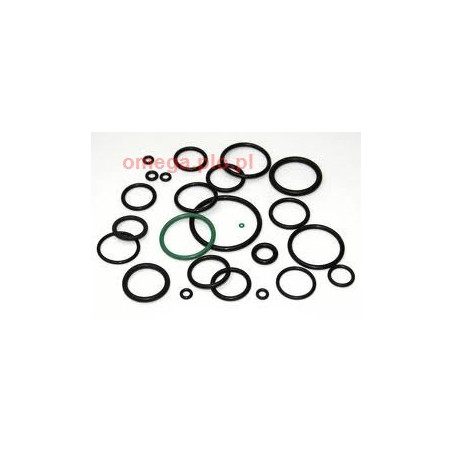 ORING 28/3 FLUOR