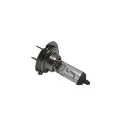 24V 70W H7 PX26D SP