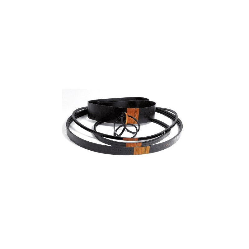 PAS KLINOWY AP1003657