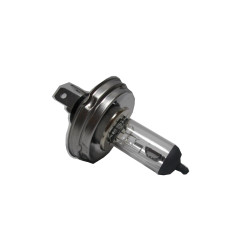 12V 60/55W-P45T H4 Z KOŁNIERZEM
