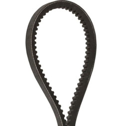 PAS ZĘBATY OPTIBELT STD S8M-1160