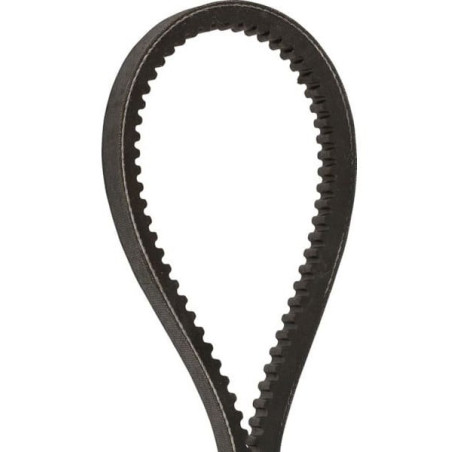 PAS ZĘBATY OPTIBELT STD S8M-1256