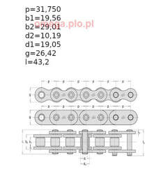 ŁAŃCUCH 20B-1  Bison  ( op.5m )